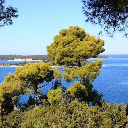 With A Parking Space Stinjan, - 20816 Apartman Pula
